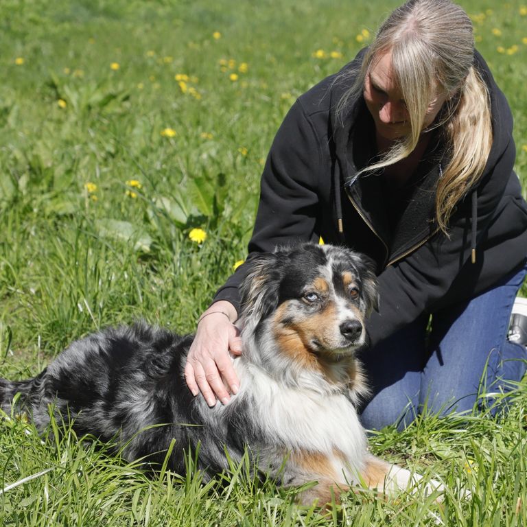 Physiotherapie Hund, www.tier-physio-logisch.de
