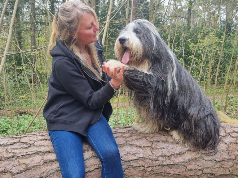 Tierphysiotherapie Hund, www.tier-physio-logisch.de